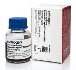 Dynabeads MyOne Streptavidin T1 | 製品情報 | ベリタス